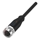 BCC M415-0000-1A-003-PX0434-100 Recht M12 4P PUR 10Mtr.