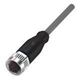 BCC M415-0000-1A-001-VX8334-050 Recht 5M M12 3P