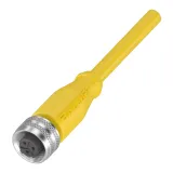 BCC A213-0000-1C-123-EX43T2-050 1/2"-Bus recht aansluitkabel